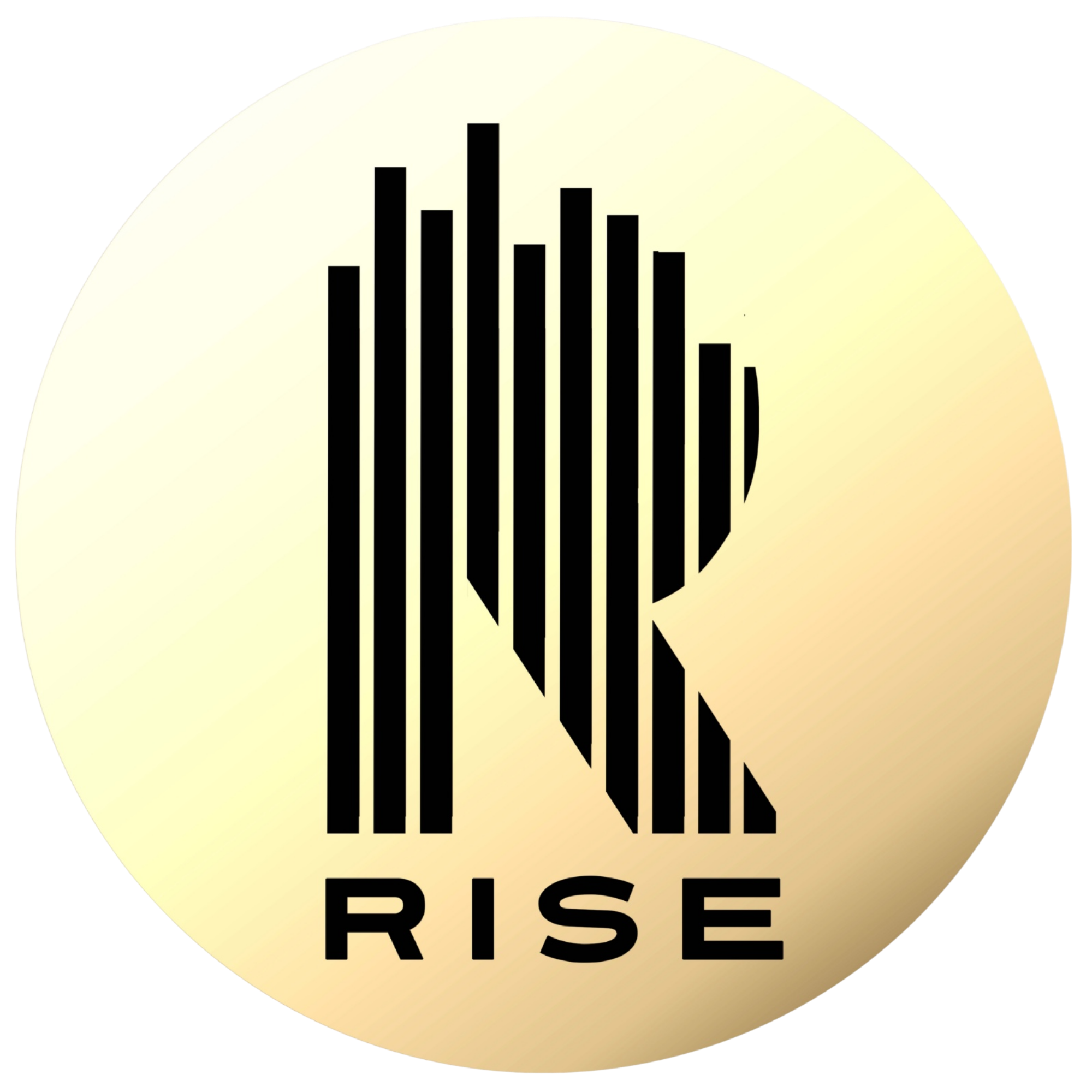 RISE Academy